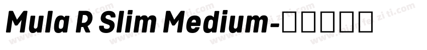 Mula R Slim Medium字体转换